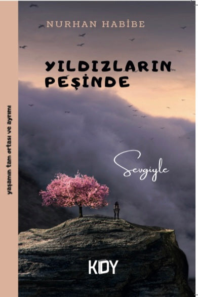 Yıldızların Peşinde - Nurhan Habibe kitap kapağı