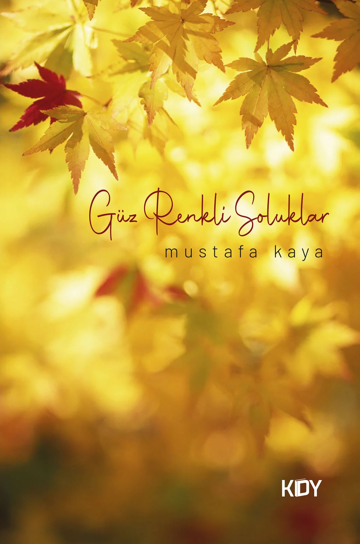 Güz Renkli Soluklar - Mustafa Kaya kitap kapağı