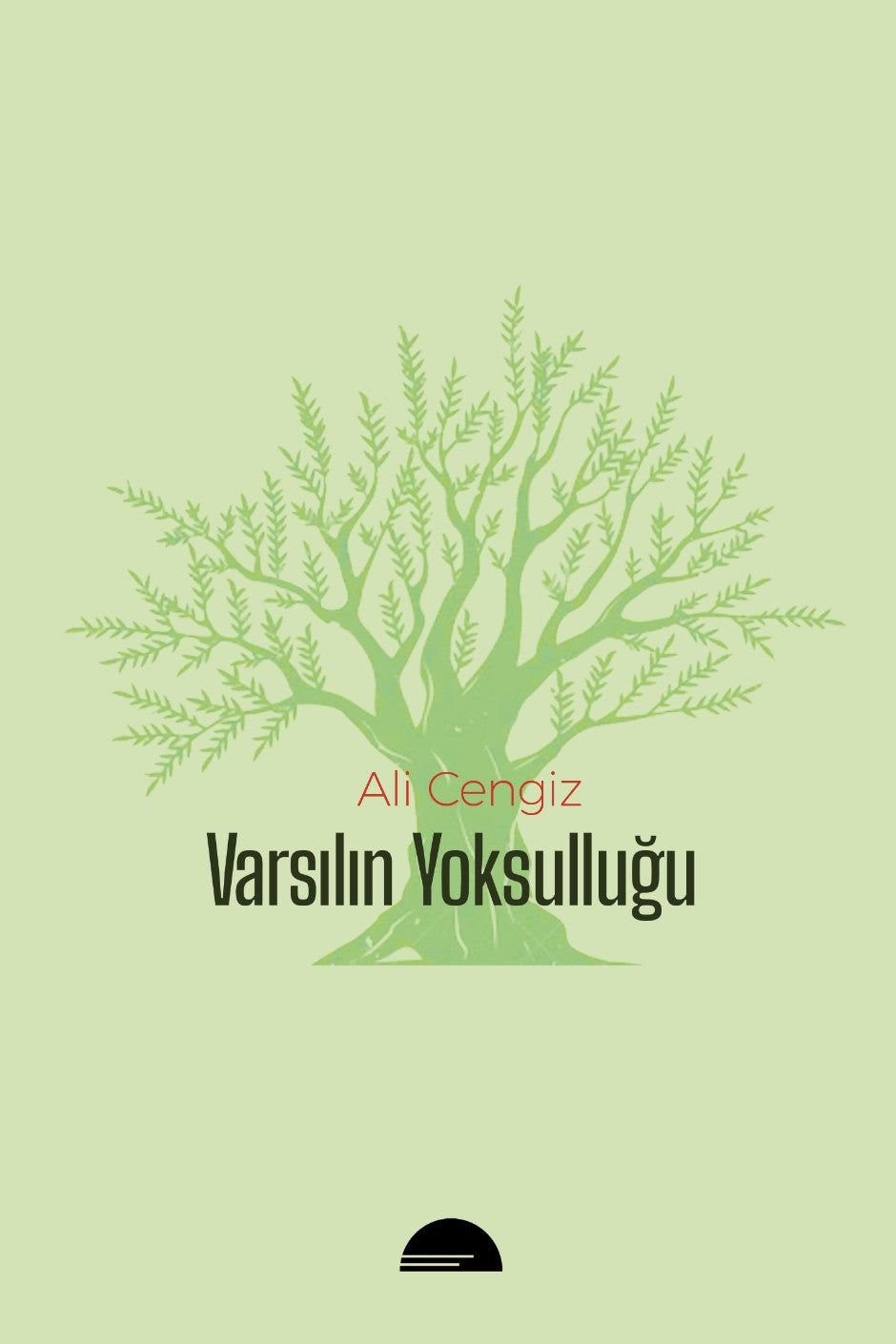 Varsılın Yoksulluğu - Ali Cengiz kitap kapağı