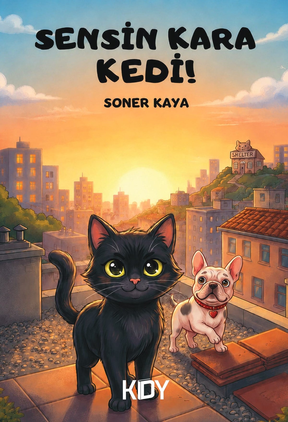 Sensin Kara Kedi! - Soner Kaya kitap kapağı