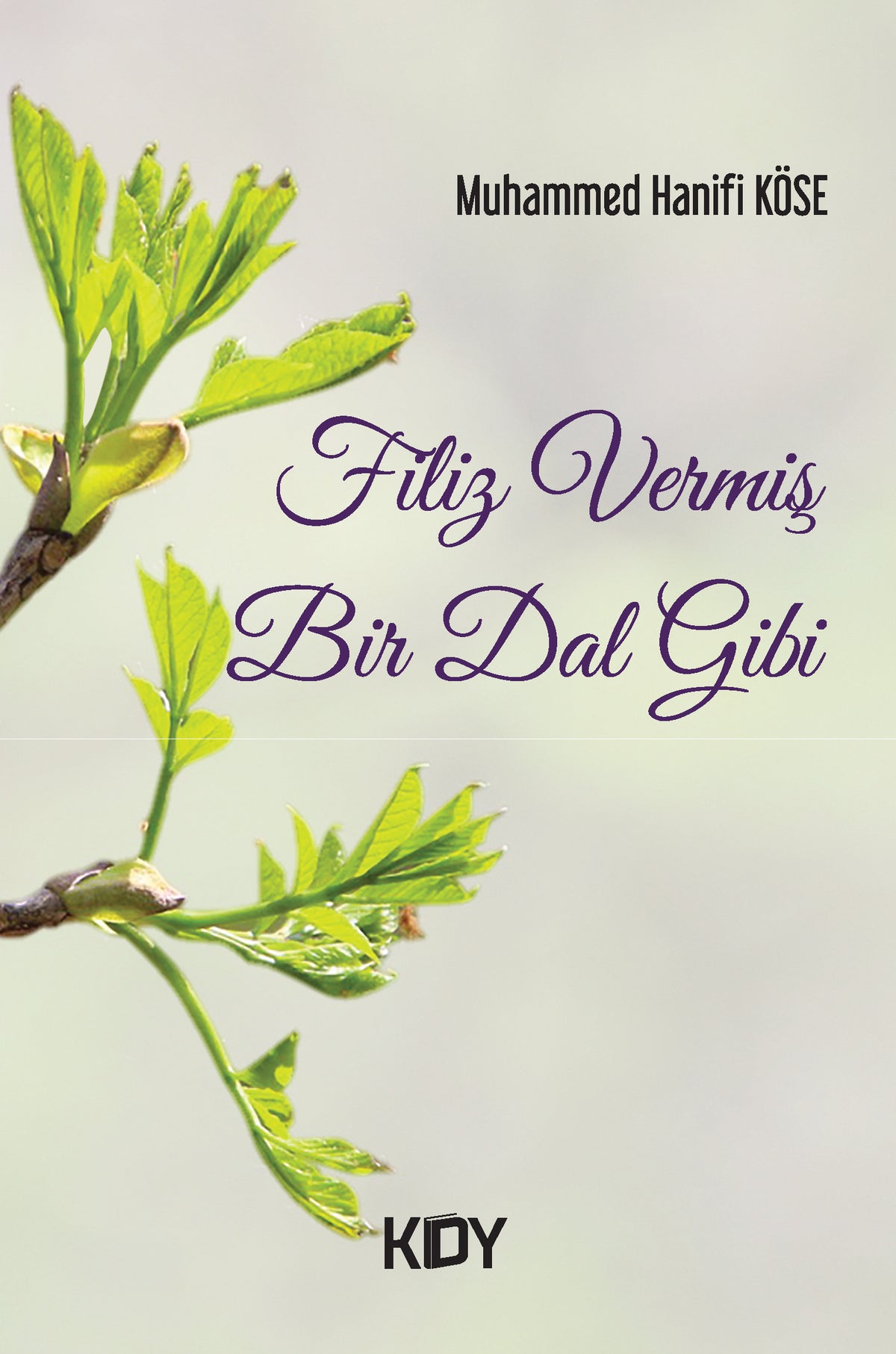 Filiz Vermiş Bir Dal Gibi - Muhammed Hanifi Köse kitap kapağı