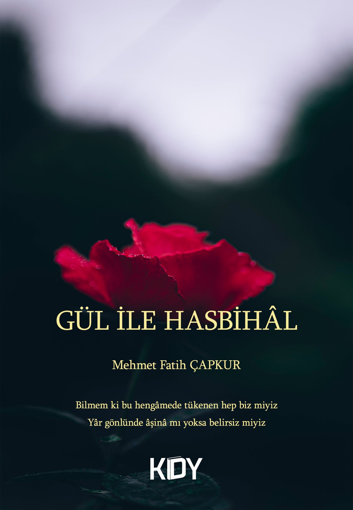 Gül İle Hasbihal - Mehmet Fatih Çapkur kitap kapağı