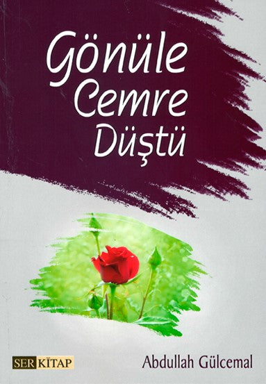 Gönüle Cemre Düştü - Abdullah Gülcemal kitap kapağı