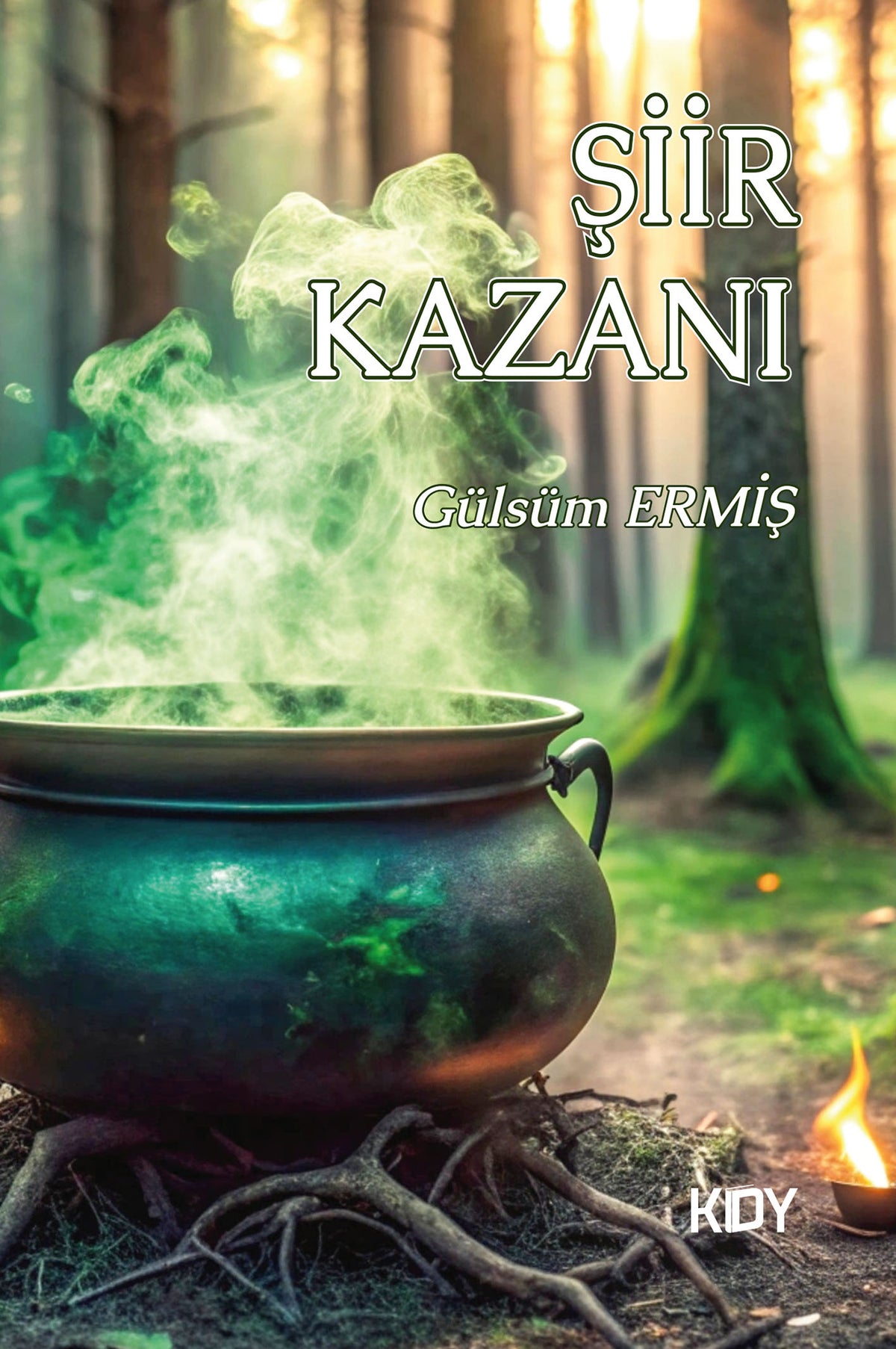 Şiir Kazanı - Gülsüm Ermiş kitap kapağı