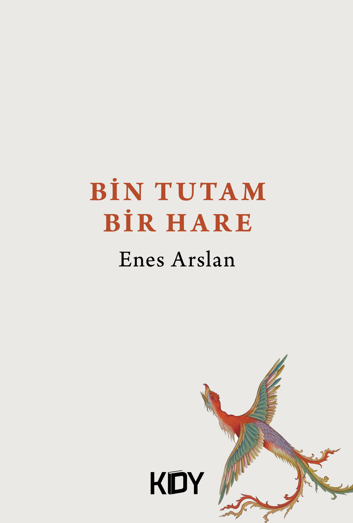 Bin Tutam Bir Hare - Enes Arslan kitap kapağı