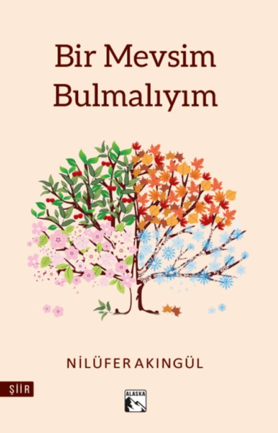 Bir Mevsim Bulmalıyım - Nilüfer Akıngül kitap kapağı
