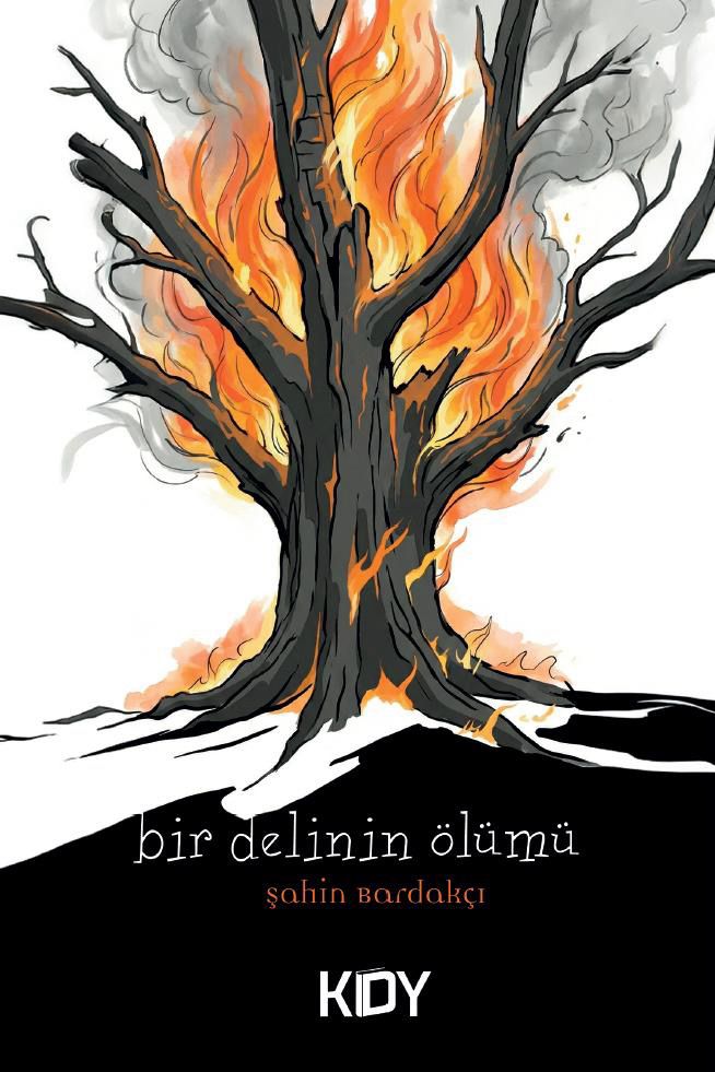 Bir Delinin Ölümü - Şahin Bardakçı kitap kapağı