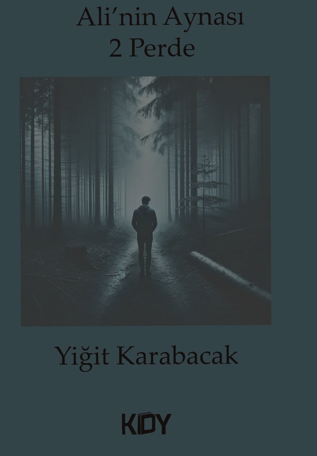 Ali'nin Aynası - Yiğit Karabacak kitap kapağı