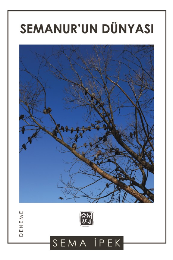 Semanur'un Dünyası - Sema İpek kitap kapağı