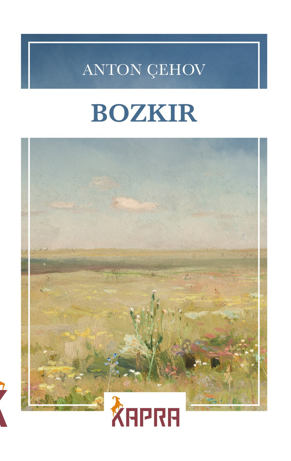 Bozkır - Anton Çehov kitap kapağı