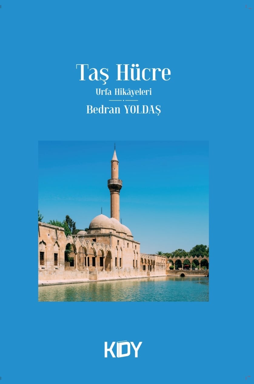 Taş Hücre - Bedran Yoldaş kitap kapağı