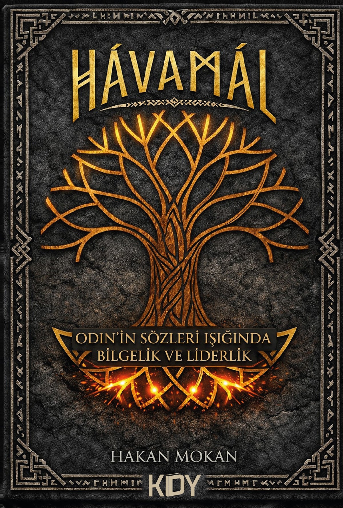 Hávamál - Hakan Mokan kitap kapağı