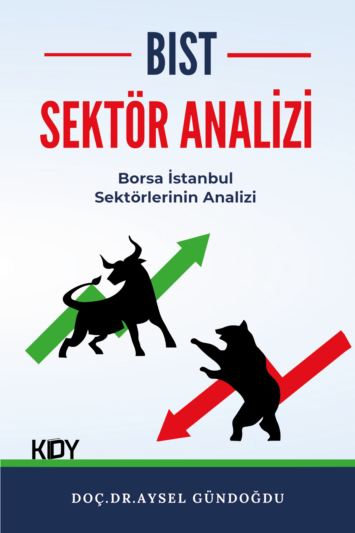 BIST Sektör Analizi - Aysel Gündoğdu kitap kapağı
