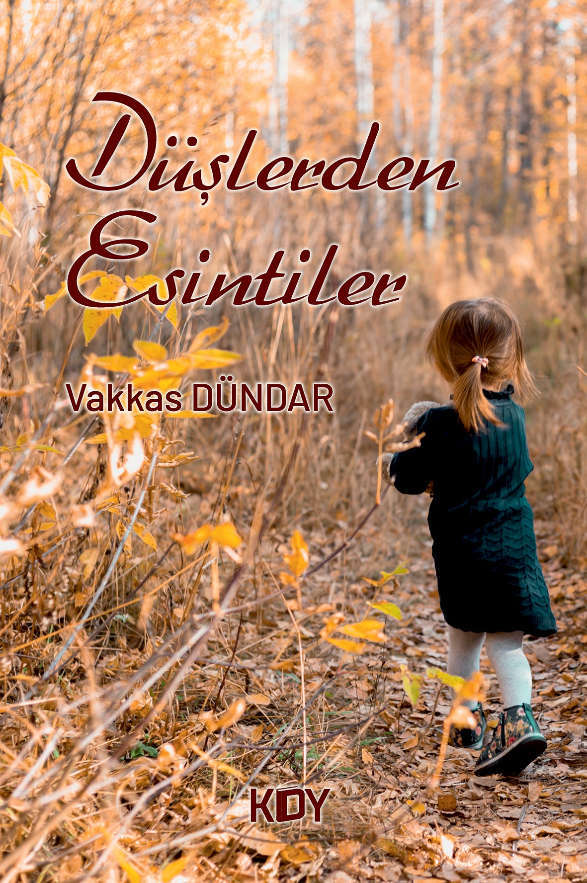 Düşlerden Esintiler - Vakkas Dündar kitap kapağı