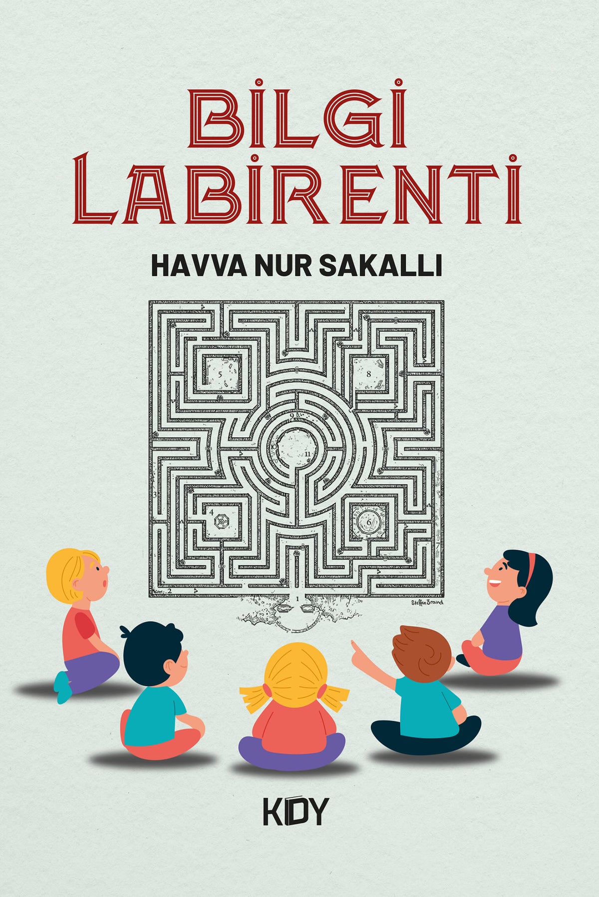 Bilgi Labirenti - Havva Nur Sakallı kitap kapağı