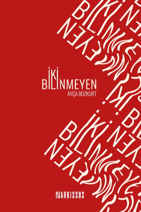 İki Bilinmeyen - Ayça Bozkurt kitap kapağı