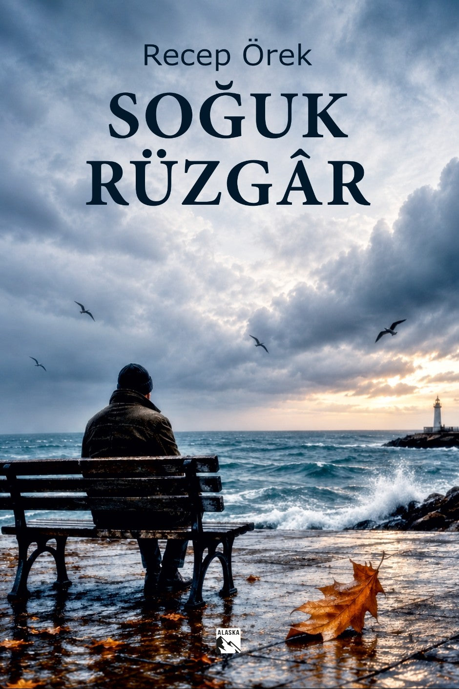 Soğuk Rüzgar - Recep Örek kitap kapağı