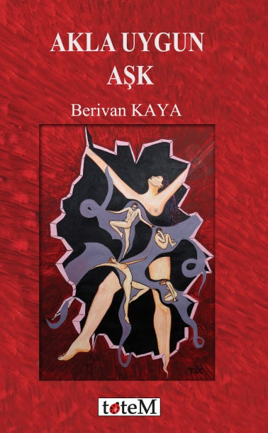Akla Uygun Aşk - Berivan Kaya kitap kapağı