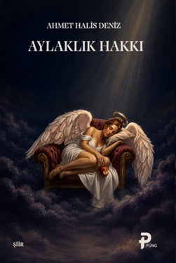 Aylaklık Hakkı - Ahmet Halis Demir kitap kapağı