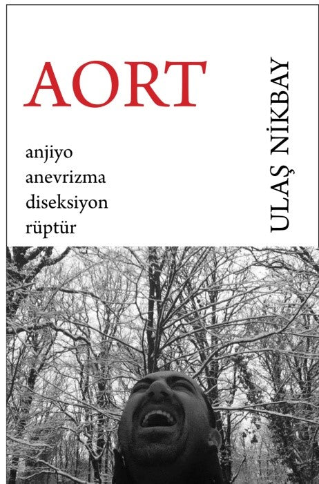 Aort - Ulaş Nikbay kitap kapağı