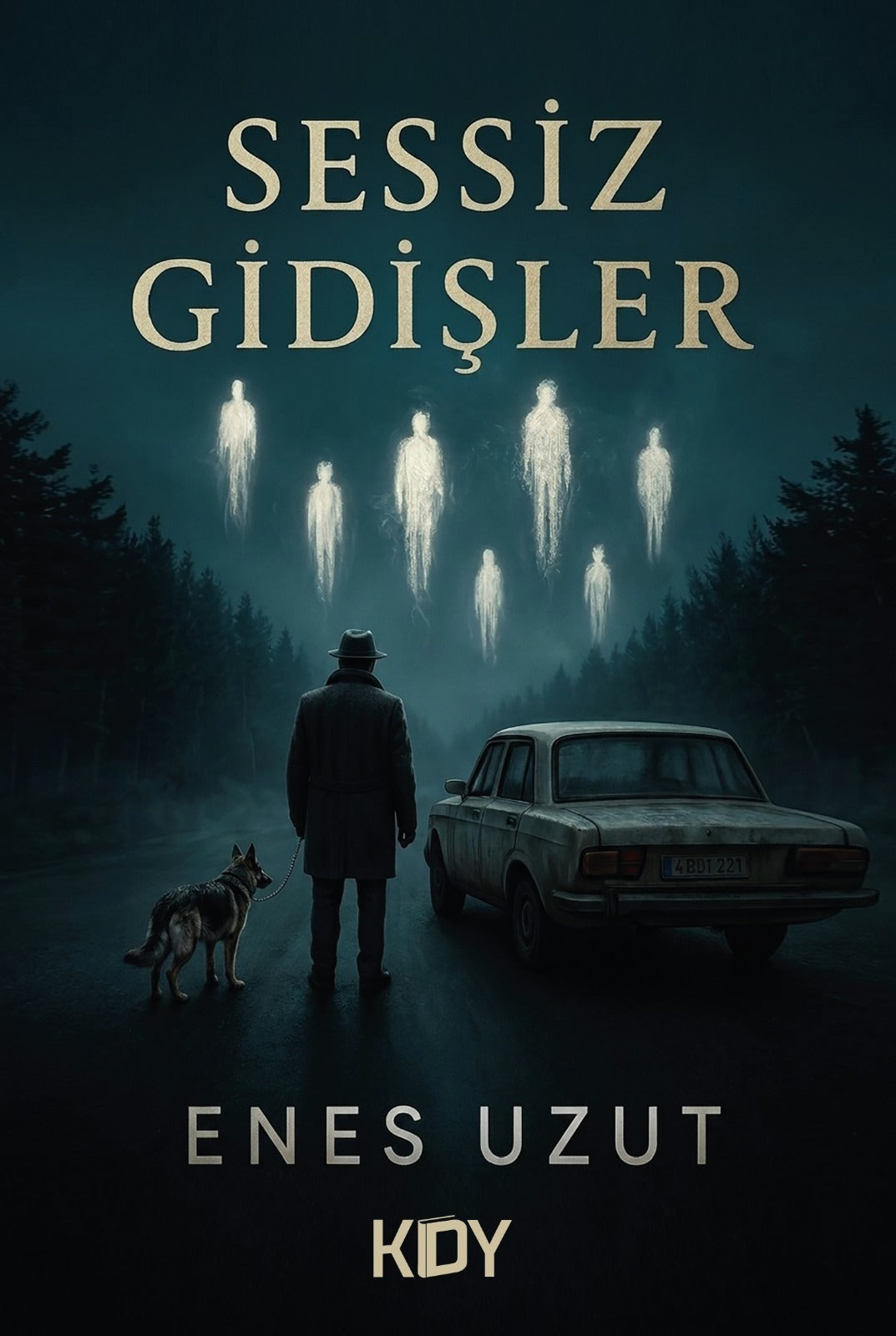 Sessiz Gidişler - Enes Uzut kitap kapağı