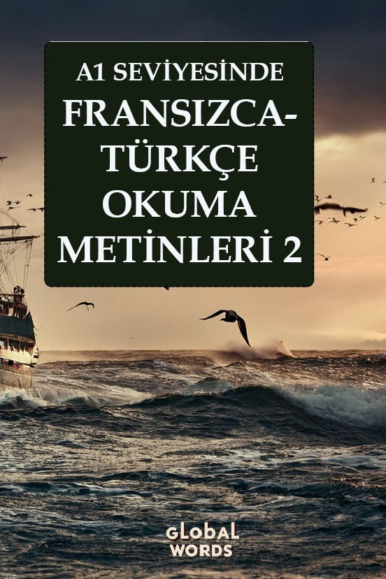 A1 Seviyesinde Fransızca-Türkçe Okuma Metinleri 2 - Kolektif kitap kapağı