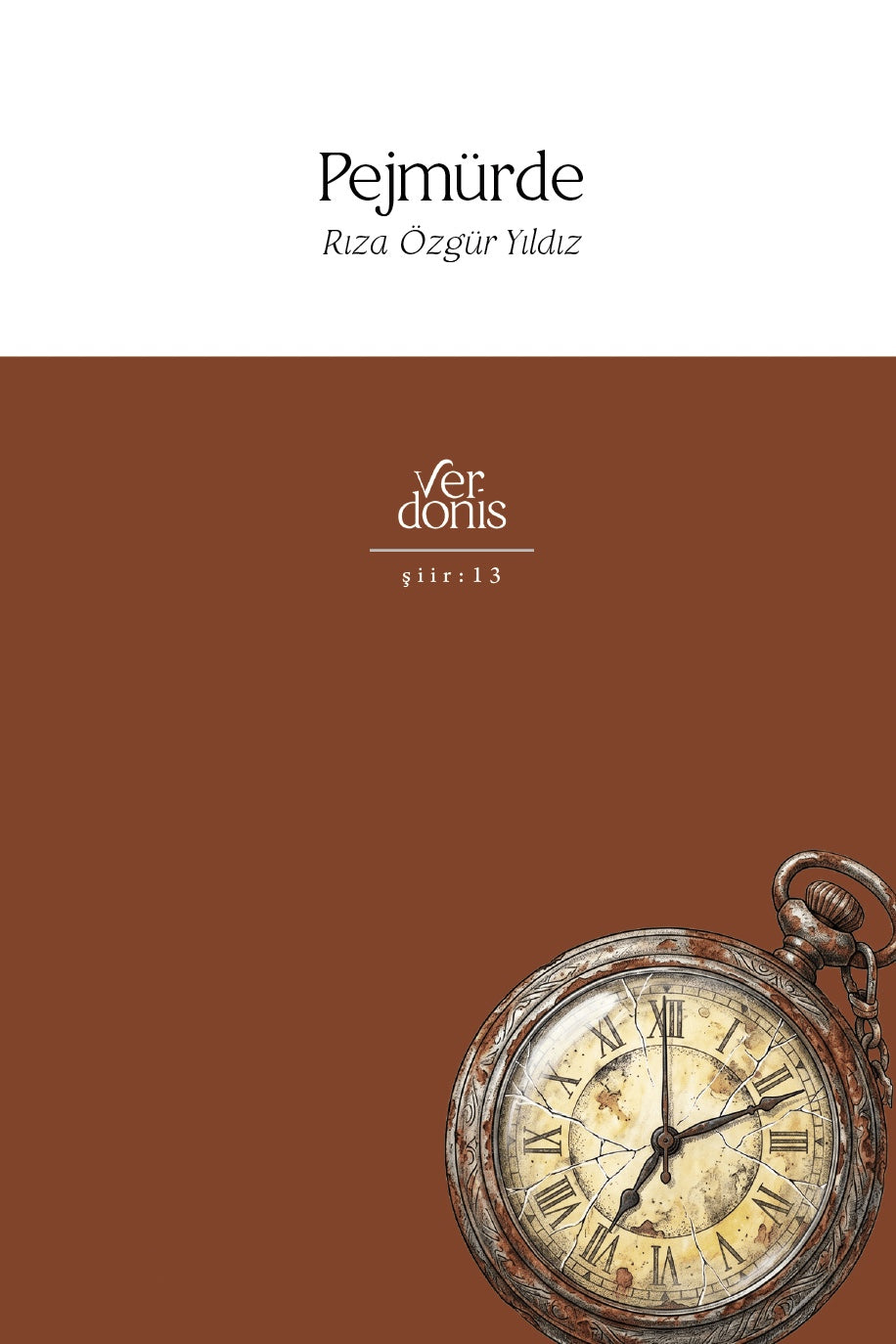Pejmürde - Rıza Özgür Yıldız kitap kapağı