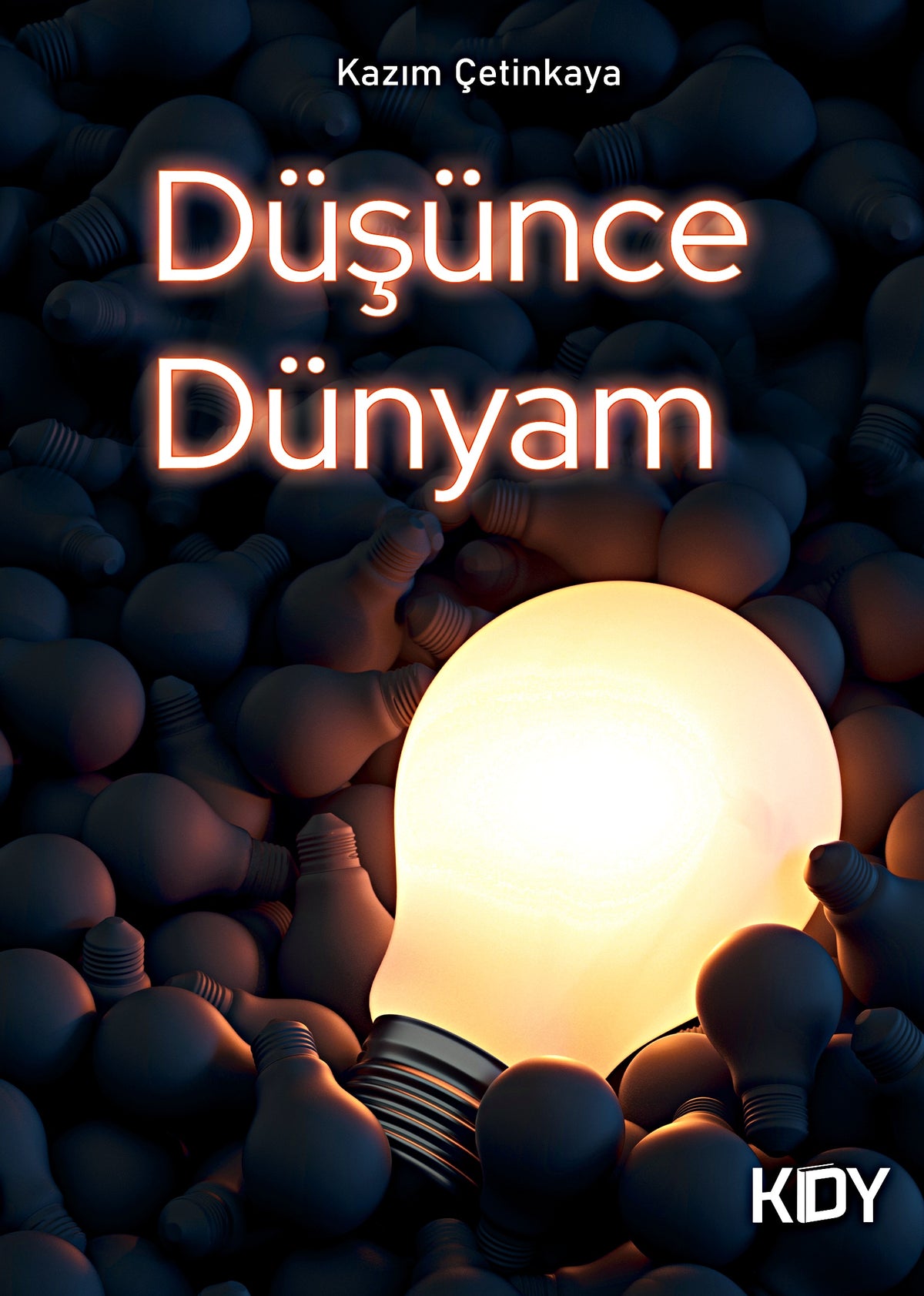 Düşünce Dünyam - Kazım Çetinkaya kitap kapağı