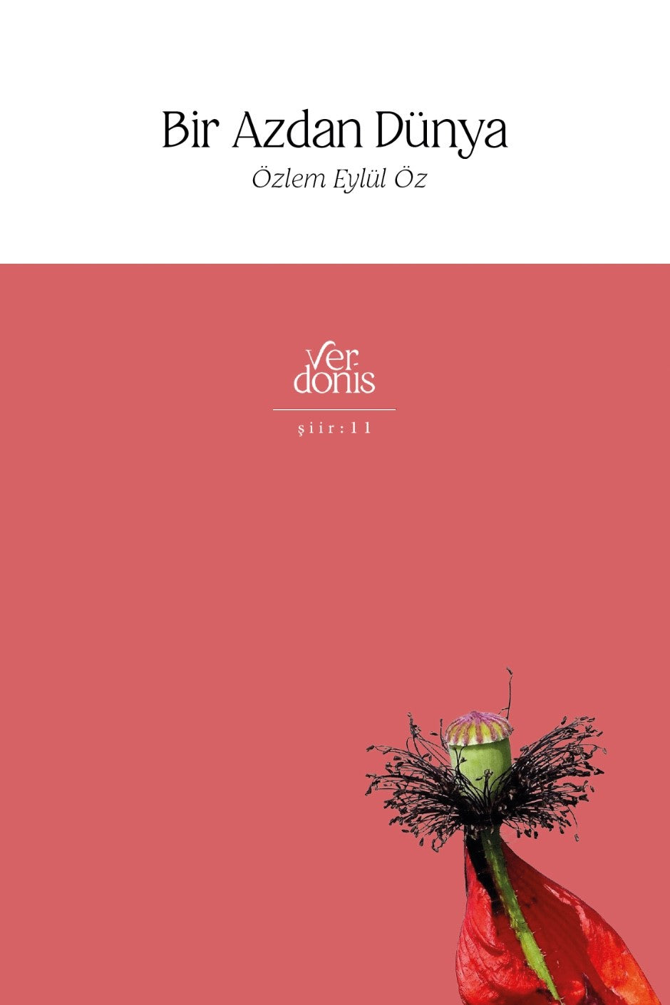 Bir Azdan Dünya - Özlem Eylül Öz kitap kapağı