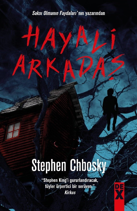 Hayali Arkadaş - Stephen Chbosky kitap kapağı