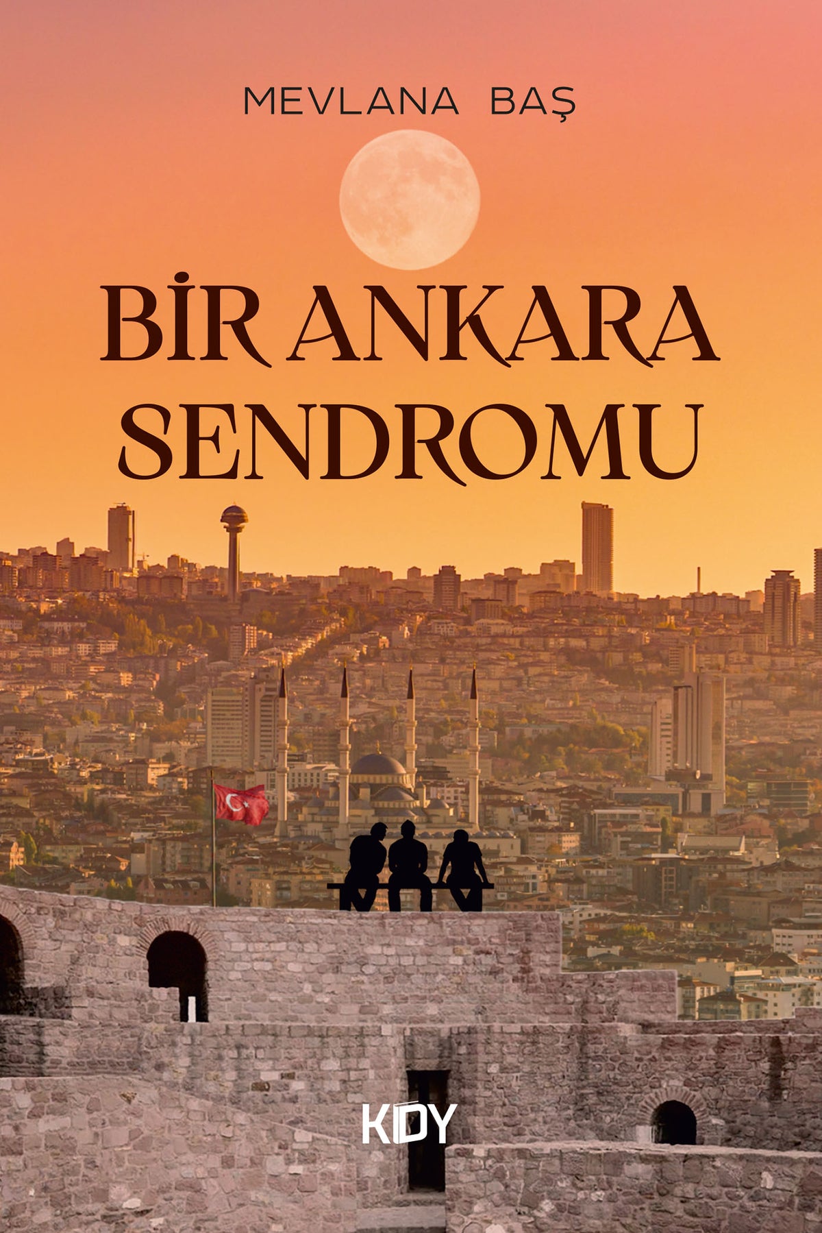 Bir Ankara Sendromu - Mevlana Baş kitap kapağı