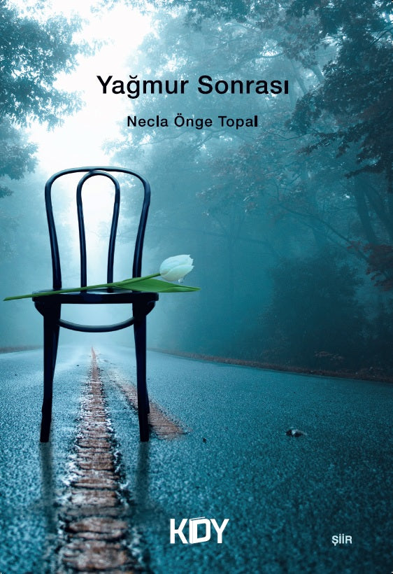 Yağmur Sonrası - Necla Önge Topal kitap kapağı