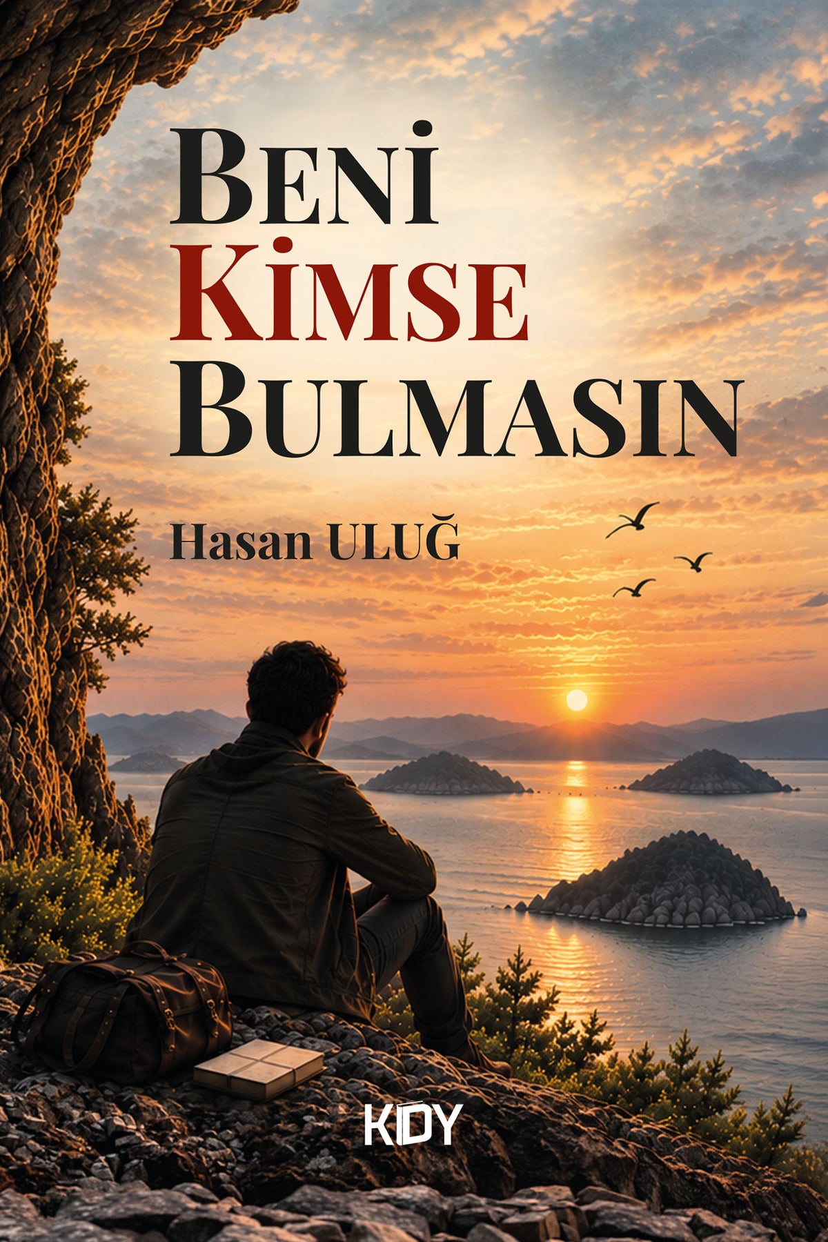 Beni Kimse Bulmasın - Hasan Uluğ kitap kapağı