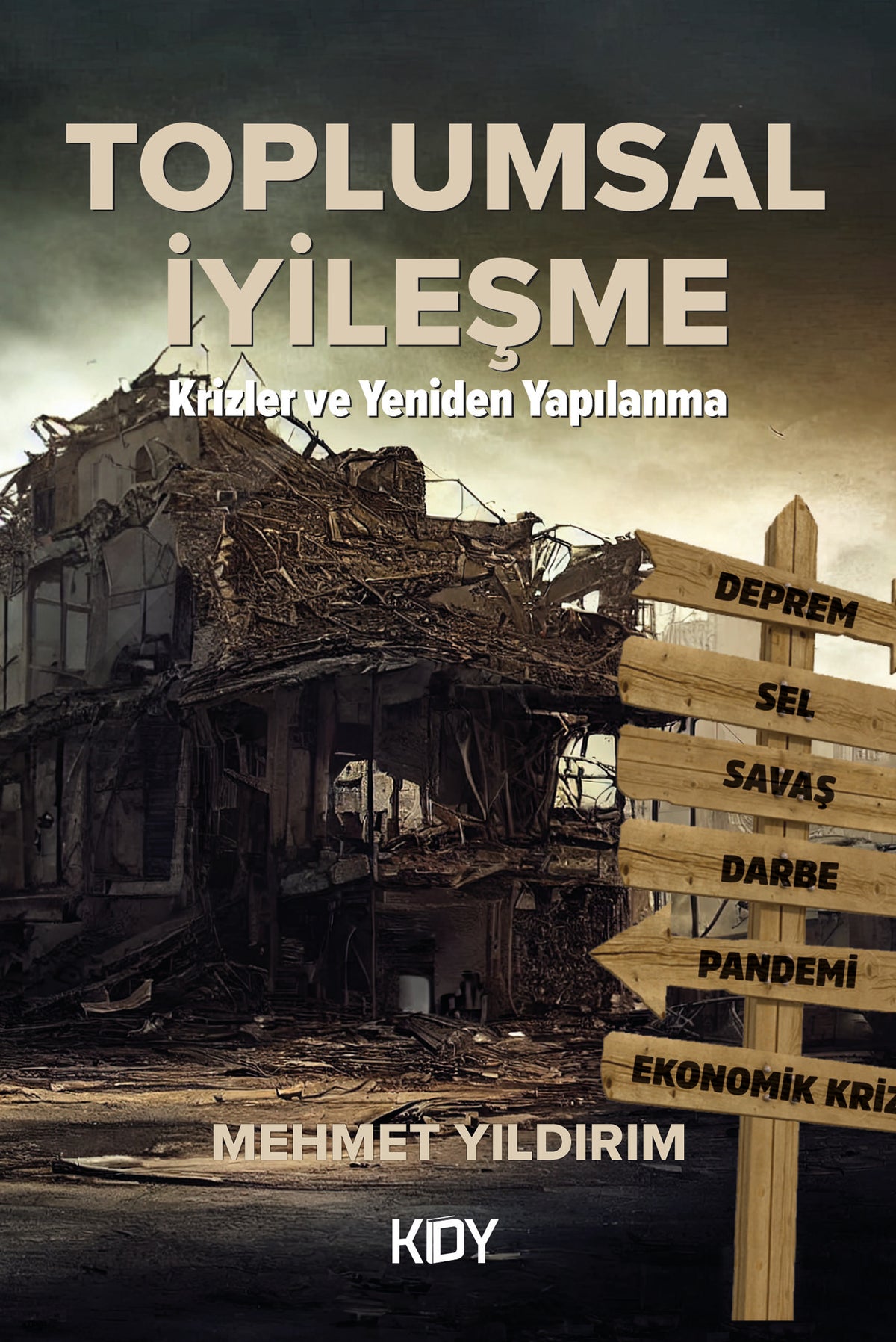 Toplumsal İyileşme - Mehmet Yıldırım kitap kapağı