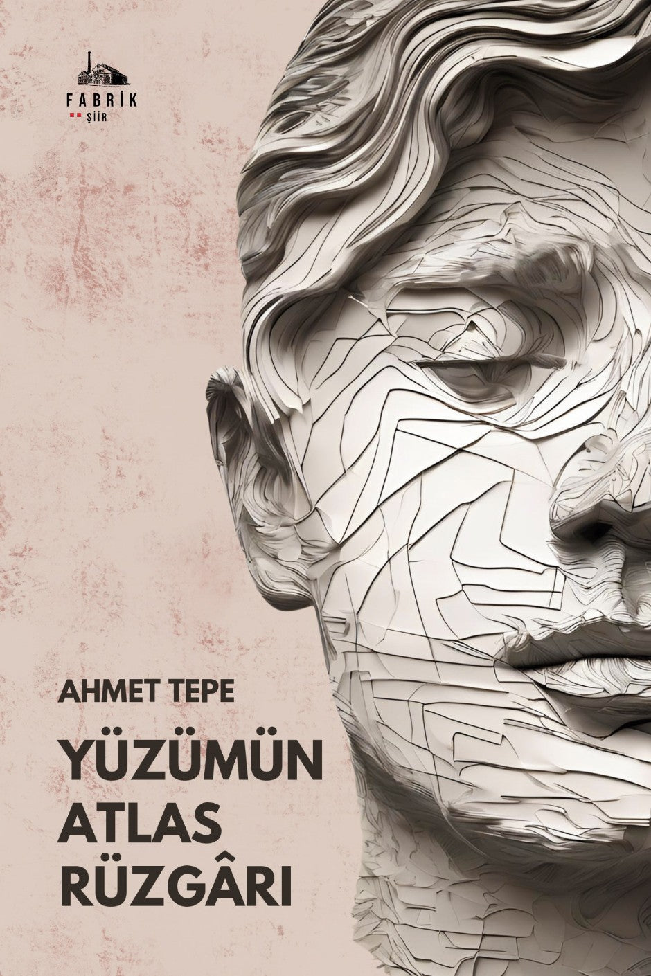 Yüzümün Atlas Rüzgarı - Ahmet Tepe kitap kapağı