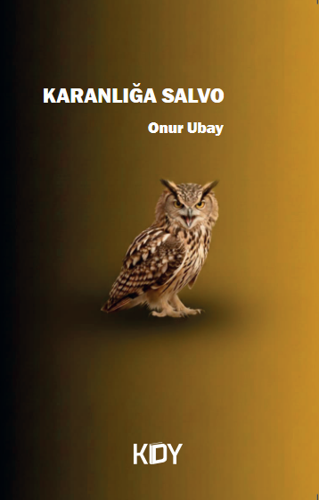 Karanlığa Salvo - Onur Ubay kitap kapağı