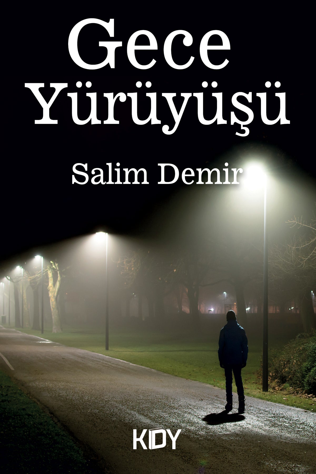 Gece Yürüyüşü - Salim Demir kitap kapağı