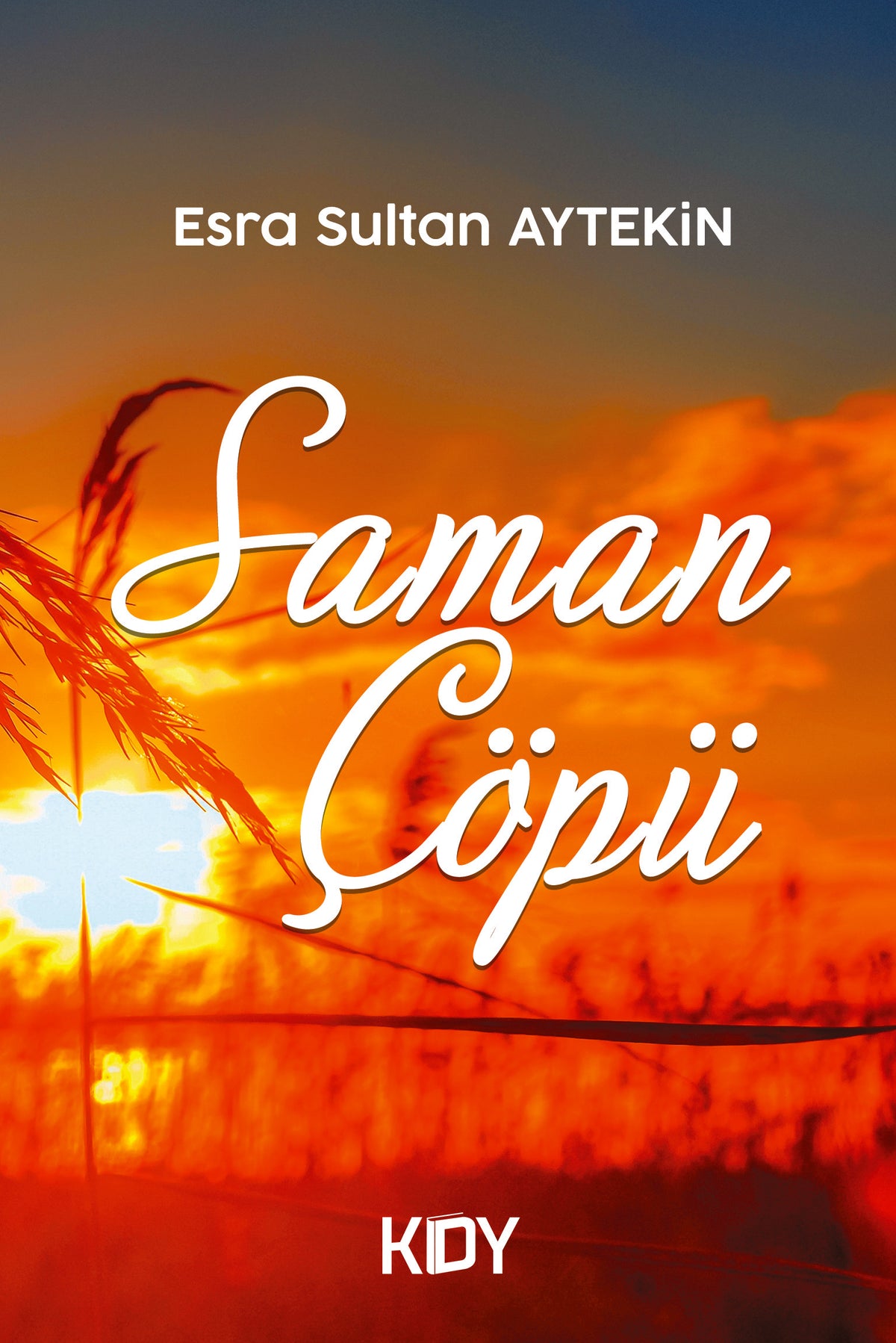 Saman Çöpü - Esra Sultan Aytekin kitap kapağı