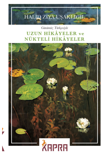 Uzun Hikayeler ve Nükteli Hikayeler - Halid Ziya Uşaklıgil kitap kapağı