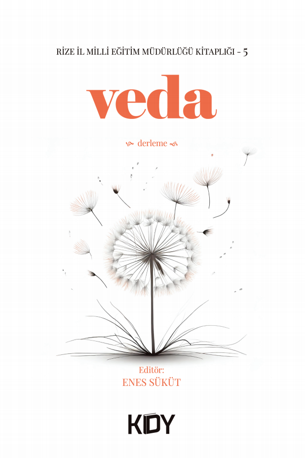 Veda - Enes Süküt kitap kapağı
