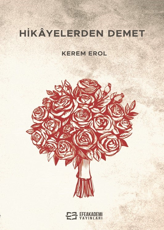 Hikayelerden Demet - Kerem Erol kitap kapağı