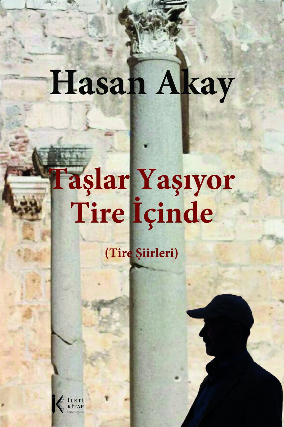 Taşlar Yaşıyor Tire İçinde Tire Şiirleri - Prof. Dr. Hasan Akay kitap kapağı