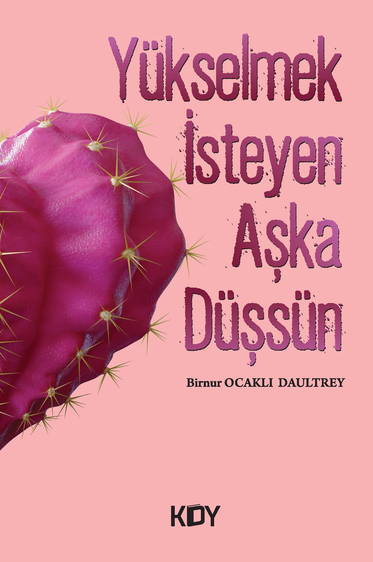 Yükselmek İsteyen Aşka Düşsün - Birnur Ocaklı Daultrey kitap kapağı