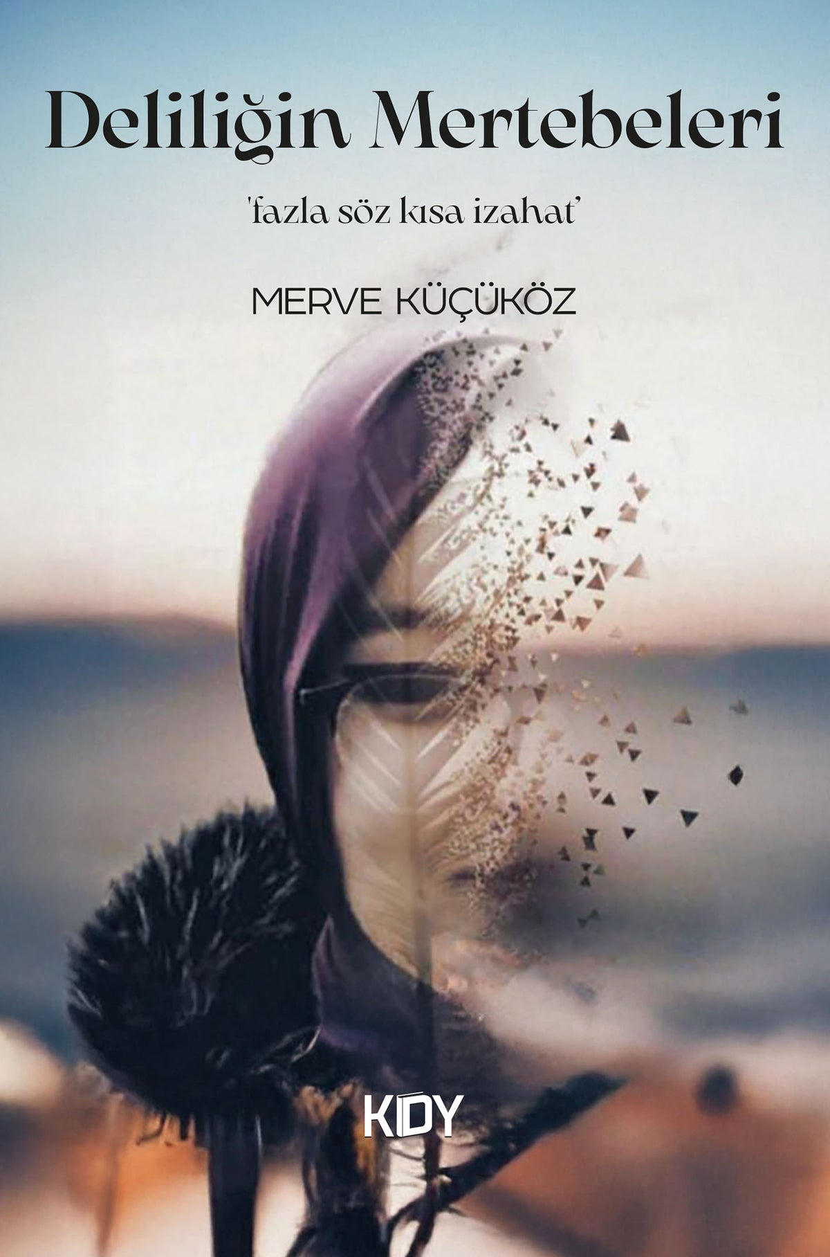Deliliğin Mertebeleri - Merve Küçüköz kitap kapağı