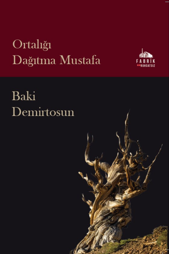 Ortalığı Dağıtma Mustafa - Baki Demirtosun kitap kapağı