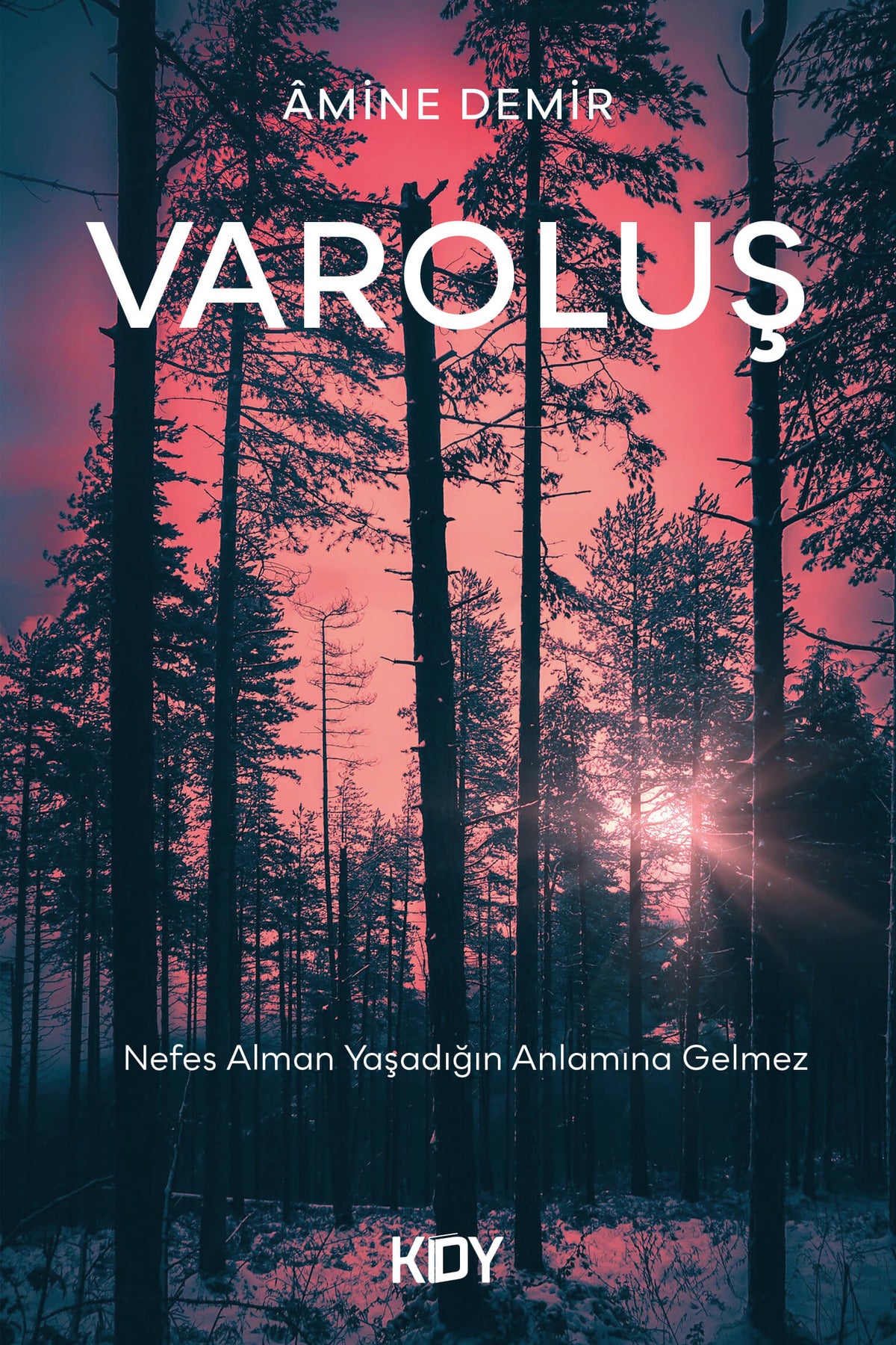Varoluş - Amine Demir kitap kapağı
