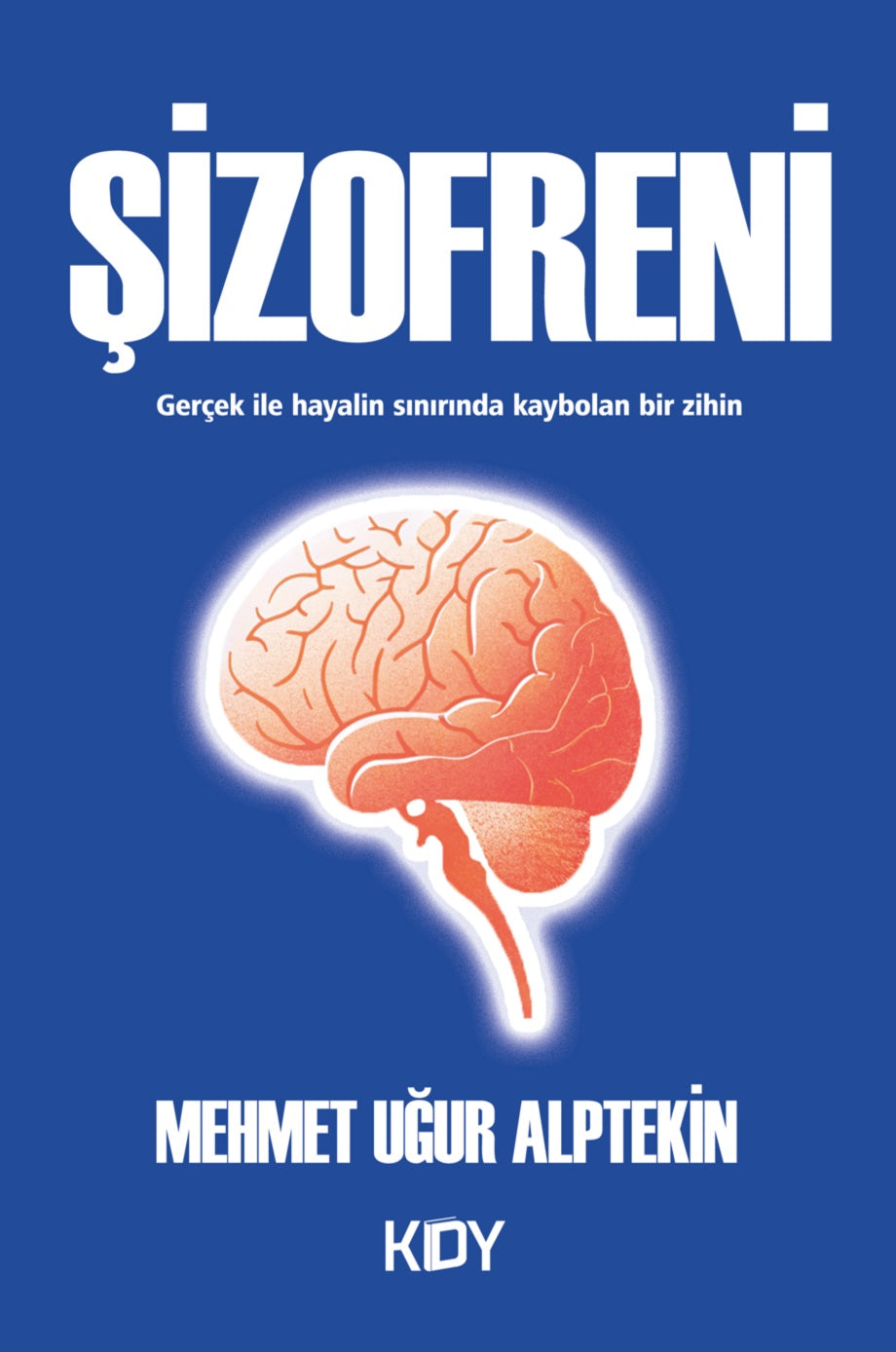 Şizofreni - Mehmet Uğur Alptekin kitap kapağı