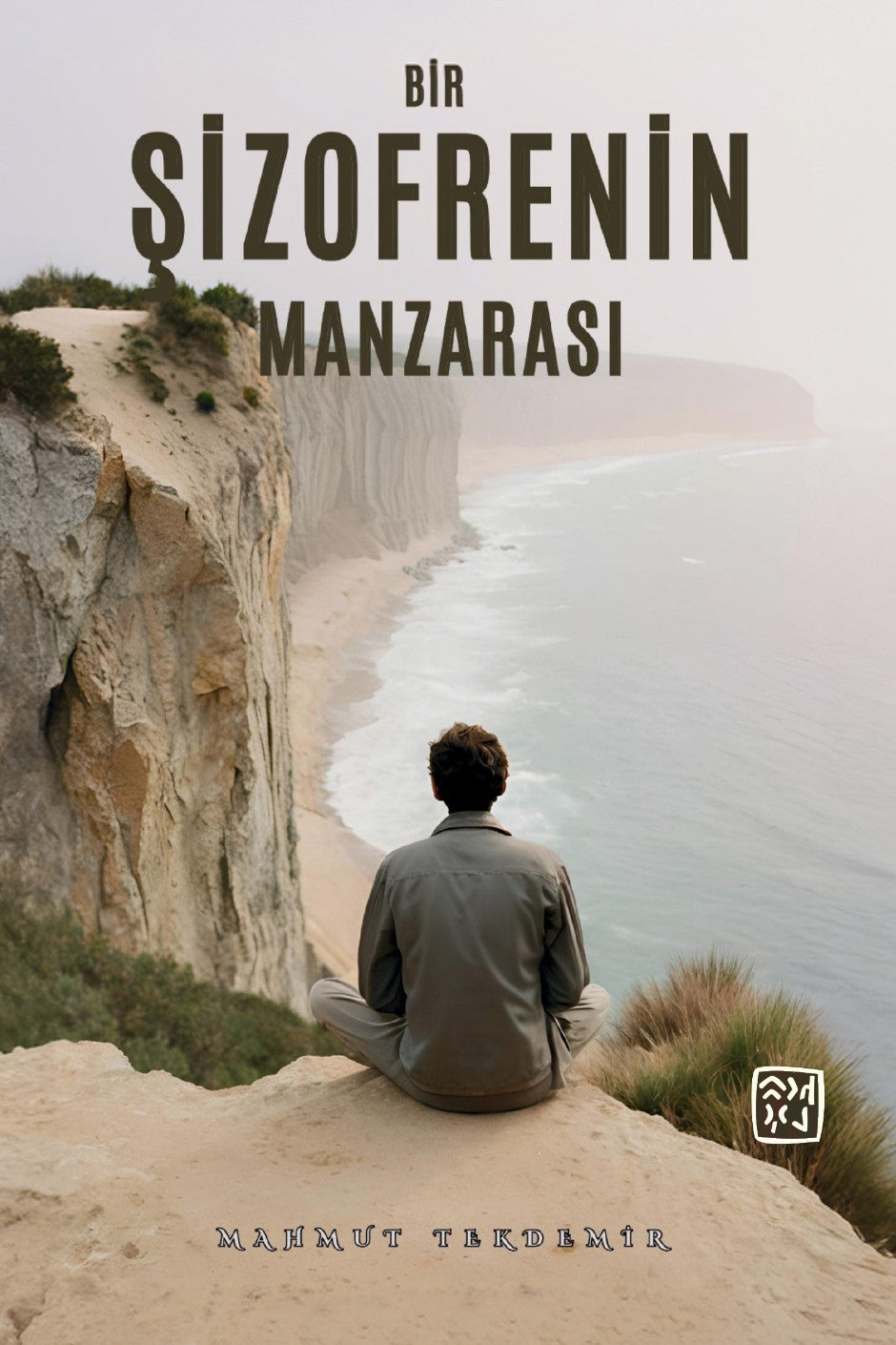 Bir Şizofrenin Manzarası - Mahmut Tekdemir kitap kapağı