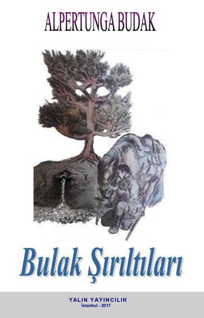 Bulak Şırıltıları - Alpertunga Budak kitap kapağı