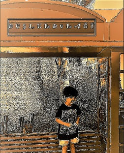 Düşler Durağı - Dilek Meriç kitap kapağı